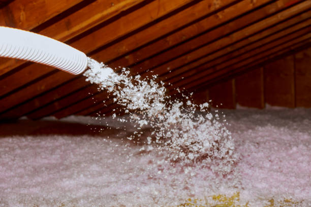 Best Insulation Inspection Services  in Chalfont, PA