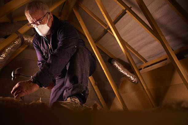 Best Professional Insulation Contractor  in Chalfont, PA